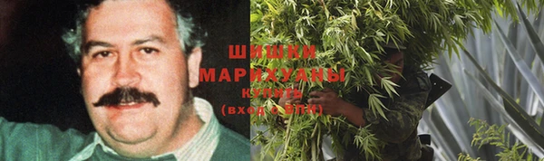 спиды Абаза