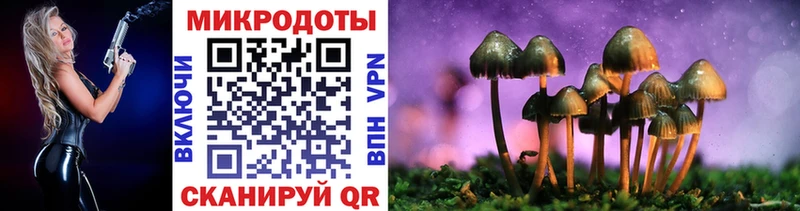 Псилоцибиновые грибы Magic Shrooms  Кандалакша 